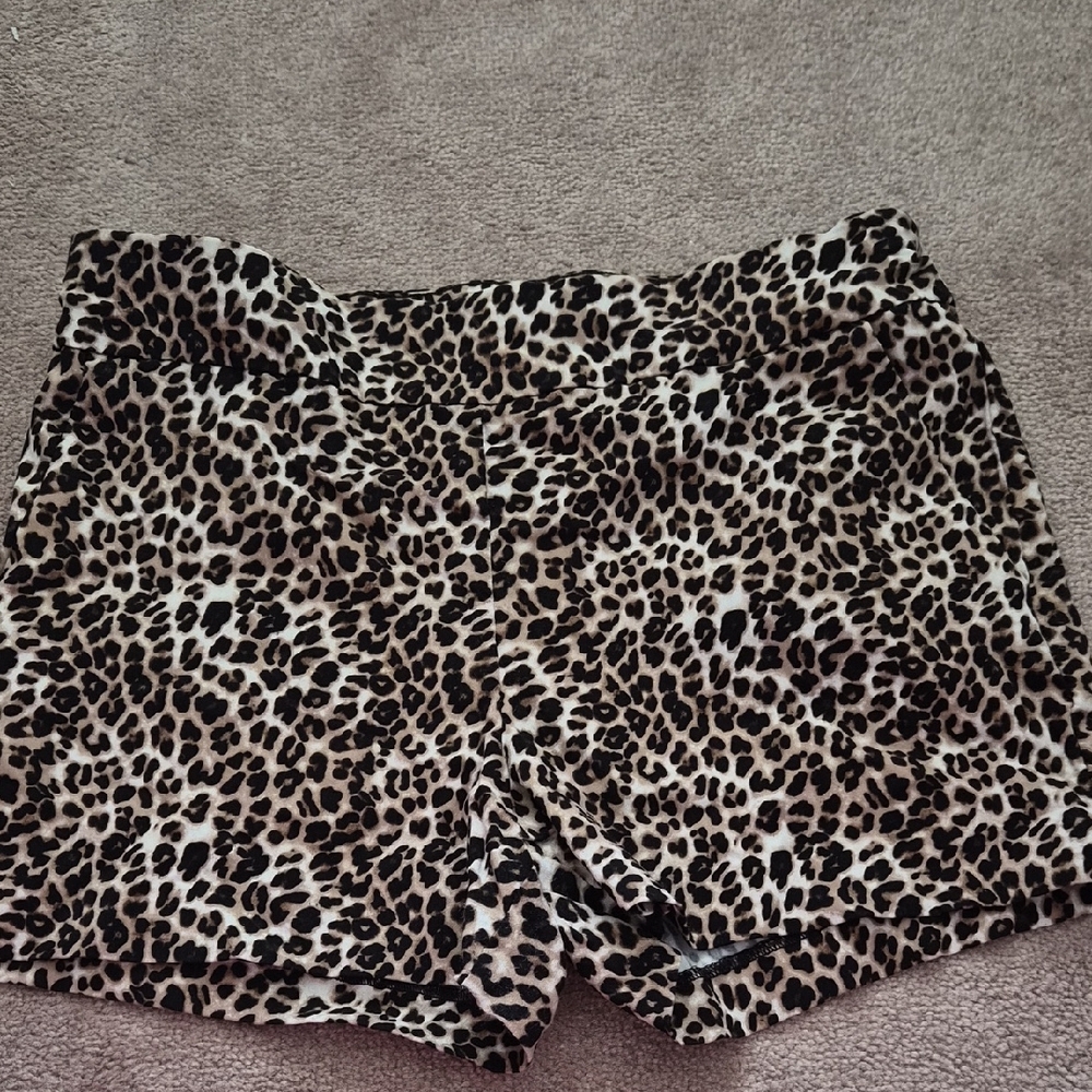 New York & Company Leopard Print High Waist Shorts - Brown & Black